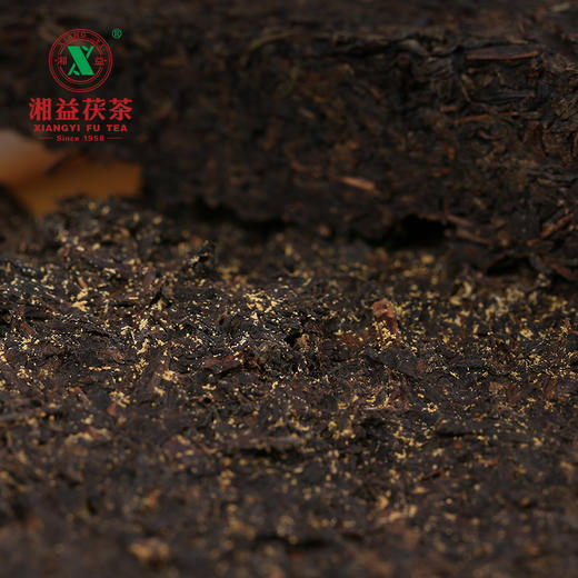 黑茶 湘益 2020年 湖南黑茶 1kg 商品图2