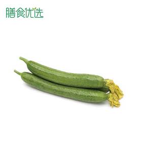 长丝瓜 约500g