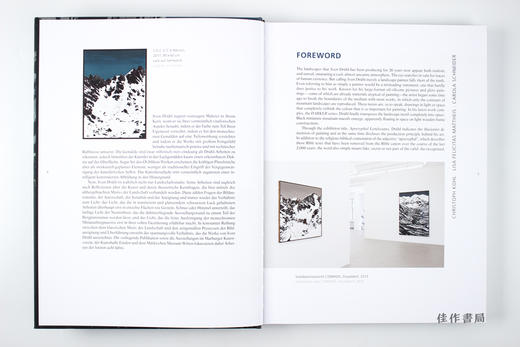Sven Drühl (bilingual): Apokryphe Landschaften / Apocryphal Landscapes 斯文·德吕尔：伪风景 商品图2
