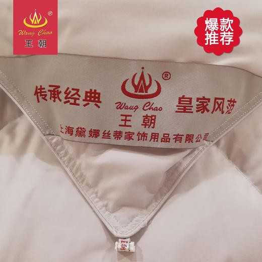 王朝舒欣羽绒被 商品图3