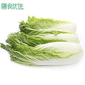 娃娃菜 约500g