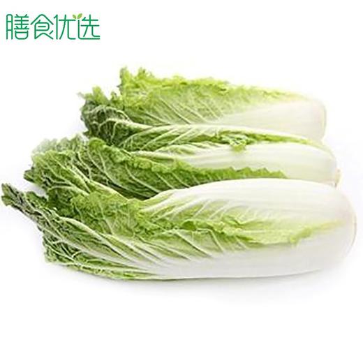 娃娃菜 约500g 商品图0