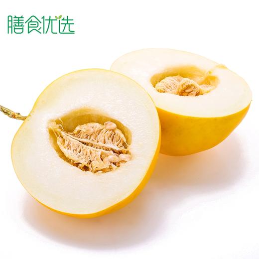 香瓜 1个 商品图0