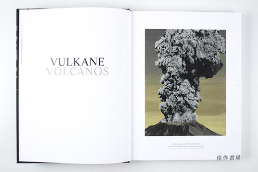 Sven Drühl (bilingual): Apokryphe Landschaften / Apocryphal Landscapes 斯文·德吕尔：伪风景 商品图3