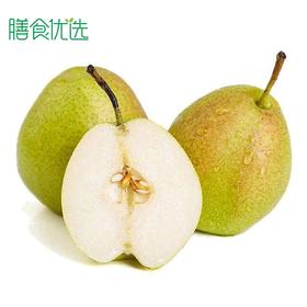 库尔勒香梨 约500g 3个