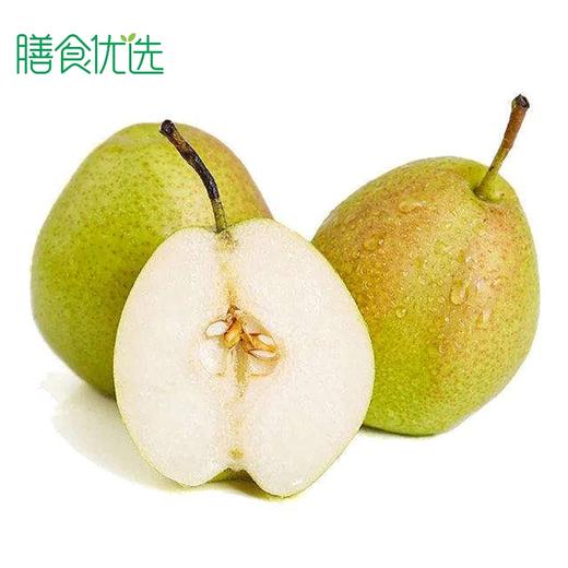 库尔勒香梨 约500g 3个 商品图0