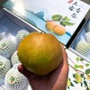 【山西隰县玉贵妃玉露香梨】约10斤/礼盒，酥脆无渣，梨香回味持久 商品缩略图1