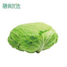 卷心菜（莲花白） 约1400g