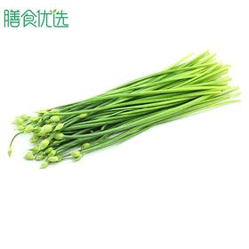 小韭菜 约250g