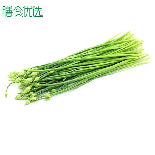 小韭菜 约250g 商品图0