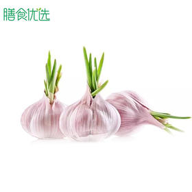 大蒜（辦辦蒜） 约250g