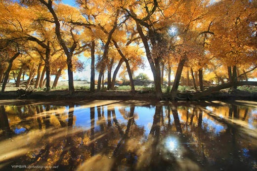 南疆塔里木秋色、金色胡杨林、帕米尔高原风光、木吉火山、沙漠公路、水上胡杨11天摄影团 商品图3