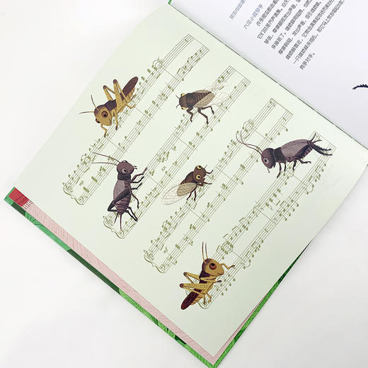 组合：爱说话的动物+动物请回答 商品图4