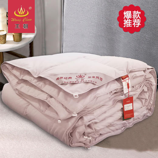 王朝舒欣羽绒被 商品图0