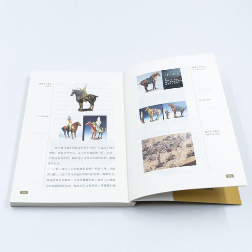 《知道中国》重现沉寂千年的历史谜城 讲述周秦汉唐的人文历史 商品图7