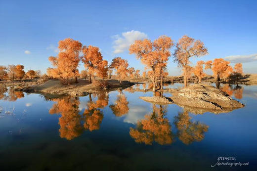 南疆塔里木秋色、金色胡杨林、帕米尔高原风光、木吉火山、沙漠公路、水上胡杨11天摄影团 商品图0