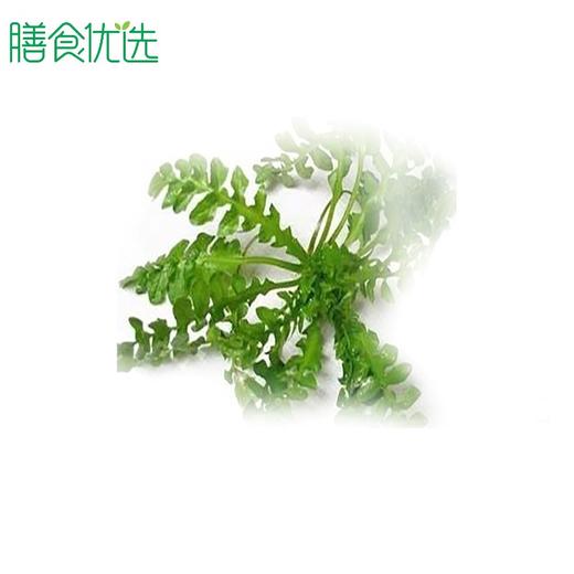 血皮菜 约500g 商品图0