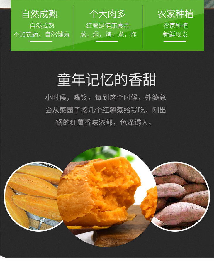 安徽阜阳龙九红薯新鲜地瓜整箱农家甜番薯糖心蜜薯净重5斤装包邮