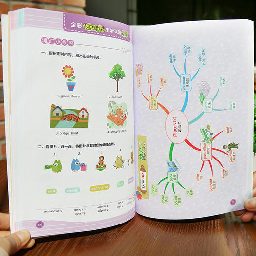 思维导图 小学英语单词 全彩少儿版 英语单词 商品图1