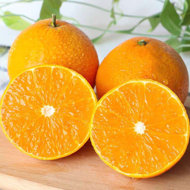四川爱媛38号果冻橙8斤橙子新鲜当季水果手剥橙 现摘现发