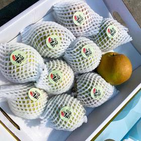 【山西隰县玉贵妃玉露香梨】约10斤/礼盒，酥脆无渣，梨香回味持久