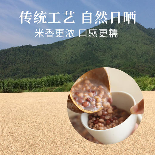 食味的初相 浦城山薏仁 糯、甘、稠 获国家地理标志保护 500g 商品图4