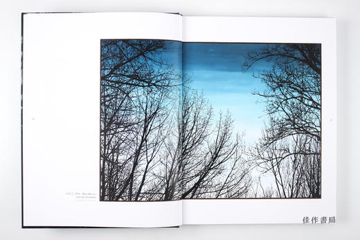 Sven Drühl (bilingual): Apokryphe Landschaften / Apocryphal Landscapes 斯文·德吕尔：伪风景 商品图4