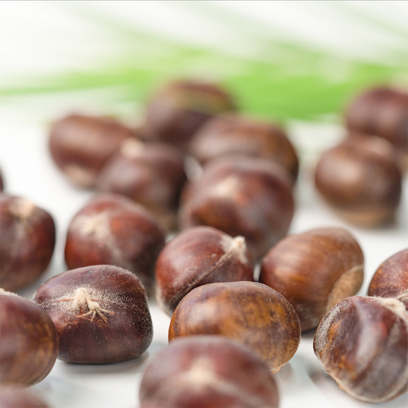 cc【栗栗香】迁西鲜板栗 粉糯甜嫩 1.8/3/5斤装