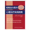 万千心理·短程动力取向心理治疗实践指南：核心冲突关系主题疗法 商品缩略图1