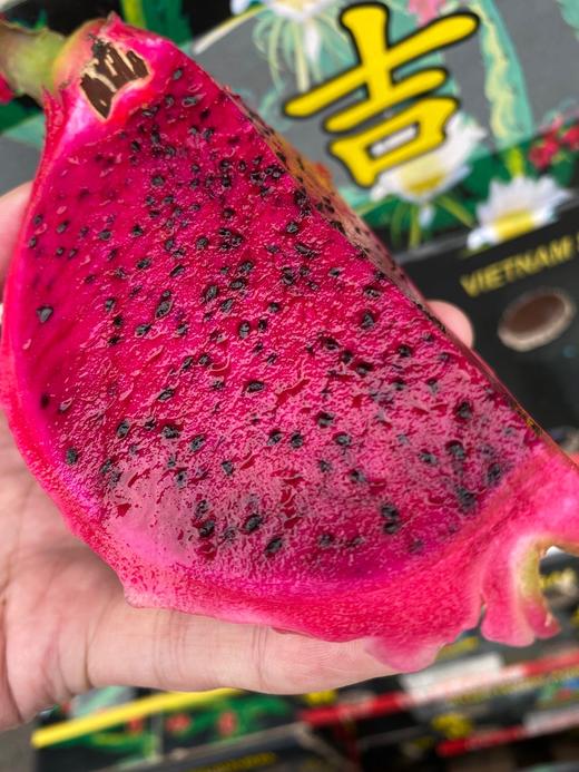 周二取货：【海南蜜宝火龙果】一个1斤左右，纯甜！多汁！肉细！抗老神器哦！ 商品图0