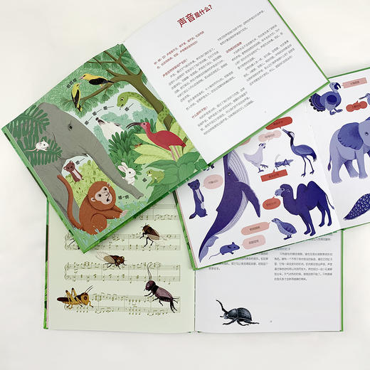 组合：爱说话的动物+动物请回答 商品图3