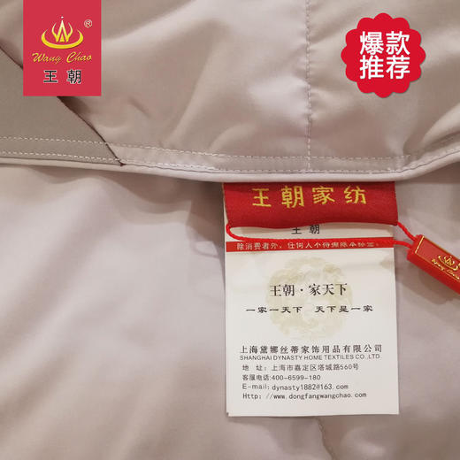 王朝舒欣羽绒被 商品图4
