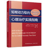 万千心理·短程动力取向心理治疗实践指南：核心冲突关系主题疗法 商品缩略图0