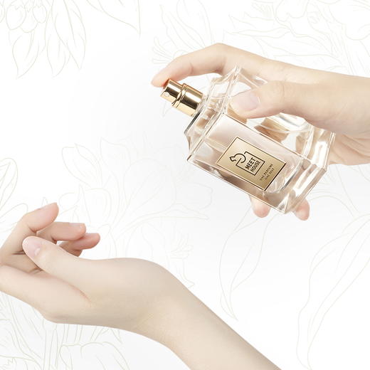 【香气派系】私人定制香水30ml 商品图0