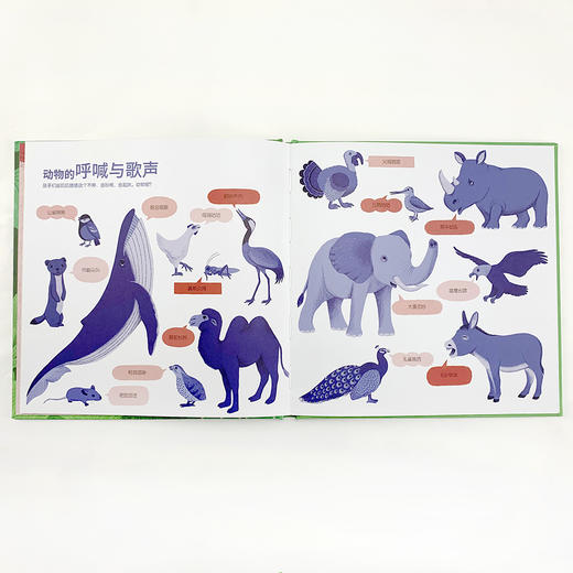 组合：爱说话的动物+动物请回答 商品图2