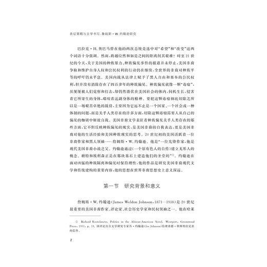 表征策略与文学书写: 詹姆斯·W.约翰逊研究/李蓓蕾/浙江大学出版社 商品图5