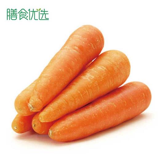 本地胡萝卜 约500g 商品图0