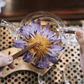  养生食材——莲花