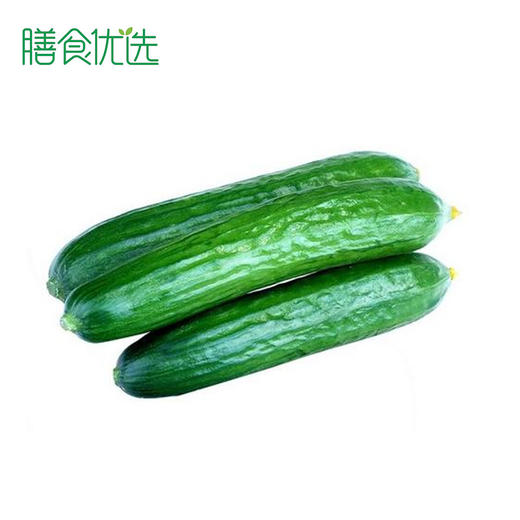 水果小黄瓜乳瓜约300g