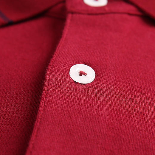 YvesFigarau伊夫·费嘉罗秋冬男士简约舒适保暖商务职场休闲长袖T恤880915 商品图5