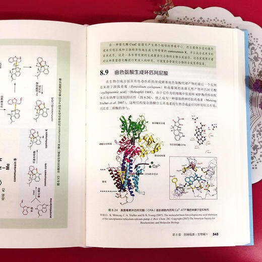 天然产物生物合成：化学原理与酶学机制 商品图4