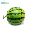 8424西瓜 约4000g 1个 商品缩略图0