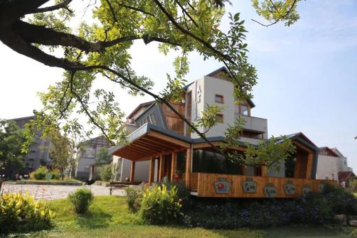 春节不打烊，桐鲜生有机种植草莓等你来采摘 商品图6