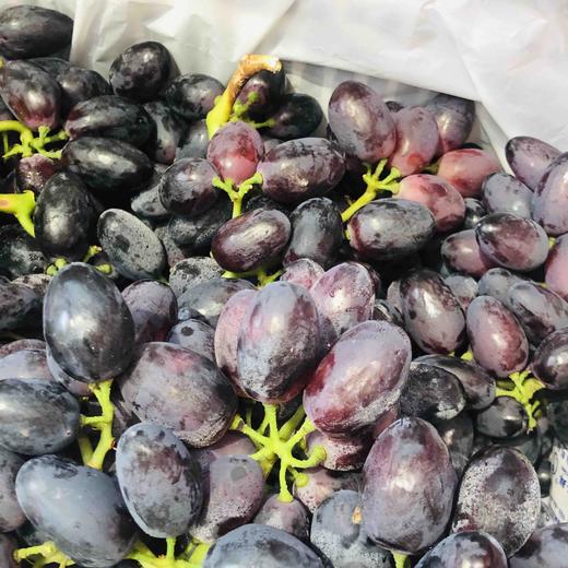 超甜云南西凉仙女紫提淡淡的玫瑰花香超甜爆汁几乎无籽宝宝也可以吃哦