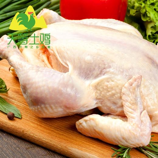 【优妈严选】光鸡重2.5斤左右 长寿之乡 广西天等土鸡 走地鸡 树林散