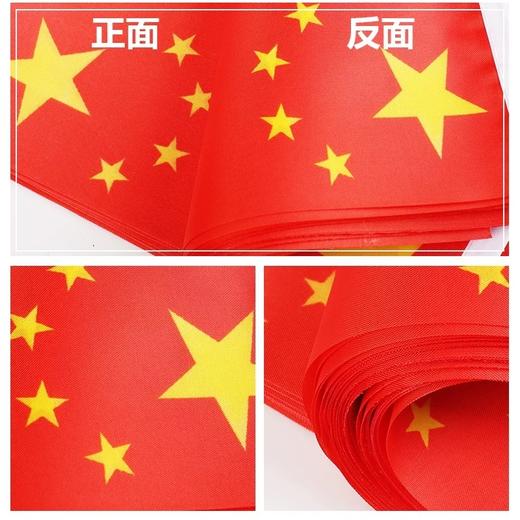 中国小国旗红旗带杆手摇旗手持小五星红旗迷你小国旗装饰7号20×30㎝8号14×21cm100面1包 商品图4