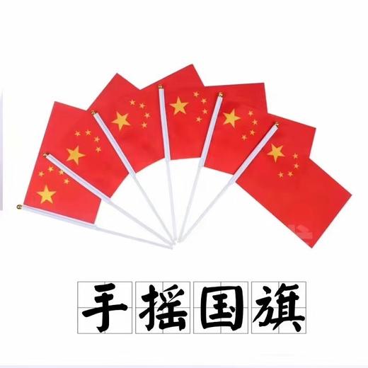 中国小国旗红旗带杆手摇旗手持小五星红旗迷你小国旗装饰7号20×30㎝8号14×21cm100面1包 商品图6