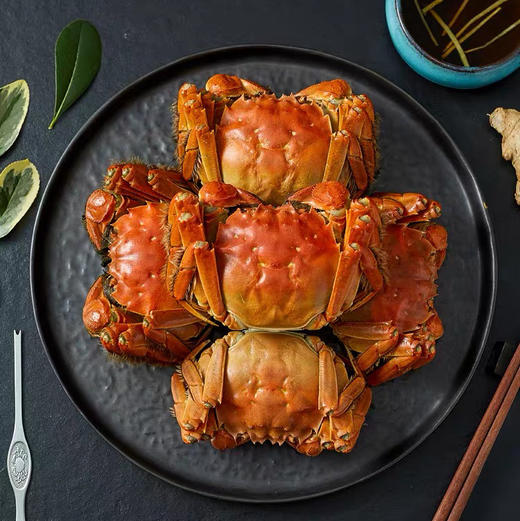 【协会专用限量蟹扣】正宗阳澄湖大闸蟹(公蟹3.5两 母蟹2.5两)