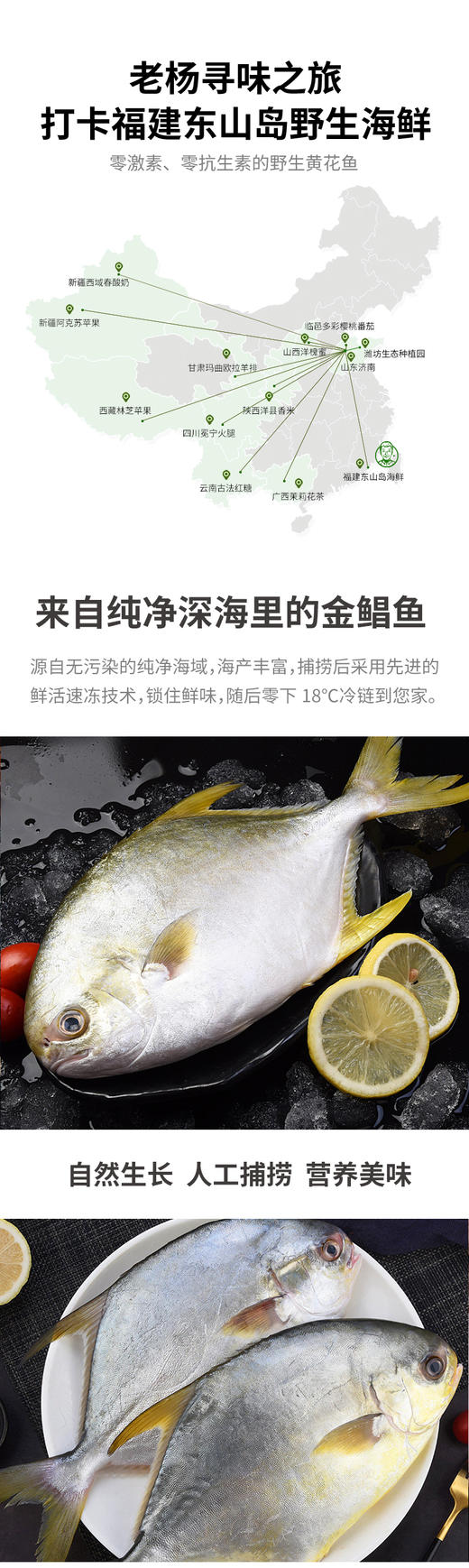 尝鲜海鲜礼盒 鲜味海鱼 原价326团购288顺丰包邮 商品图2