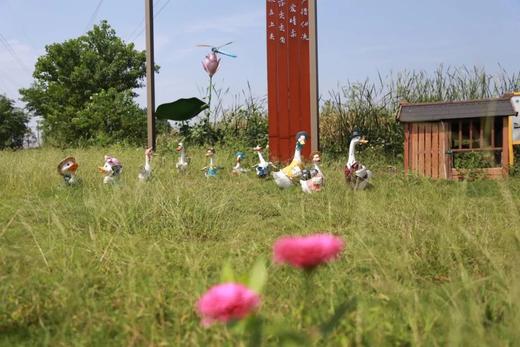 春节不打烊，桐鲜生有机种植草莓等你来采摘 商品图7